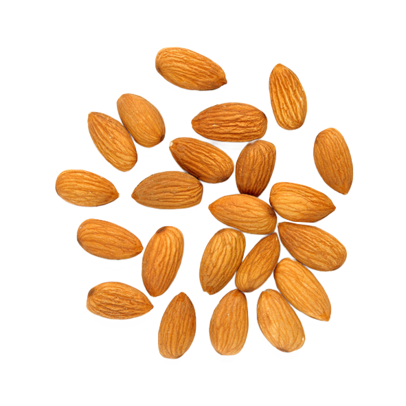 render-almendras02