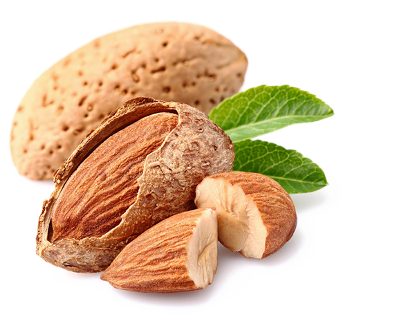 render-almendras05